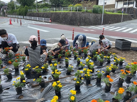 花回廊2 花回廊2